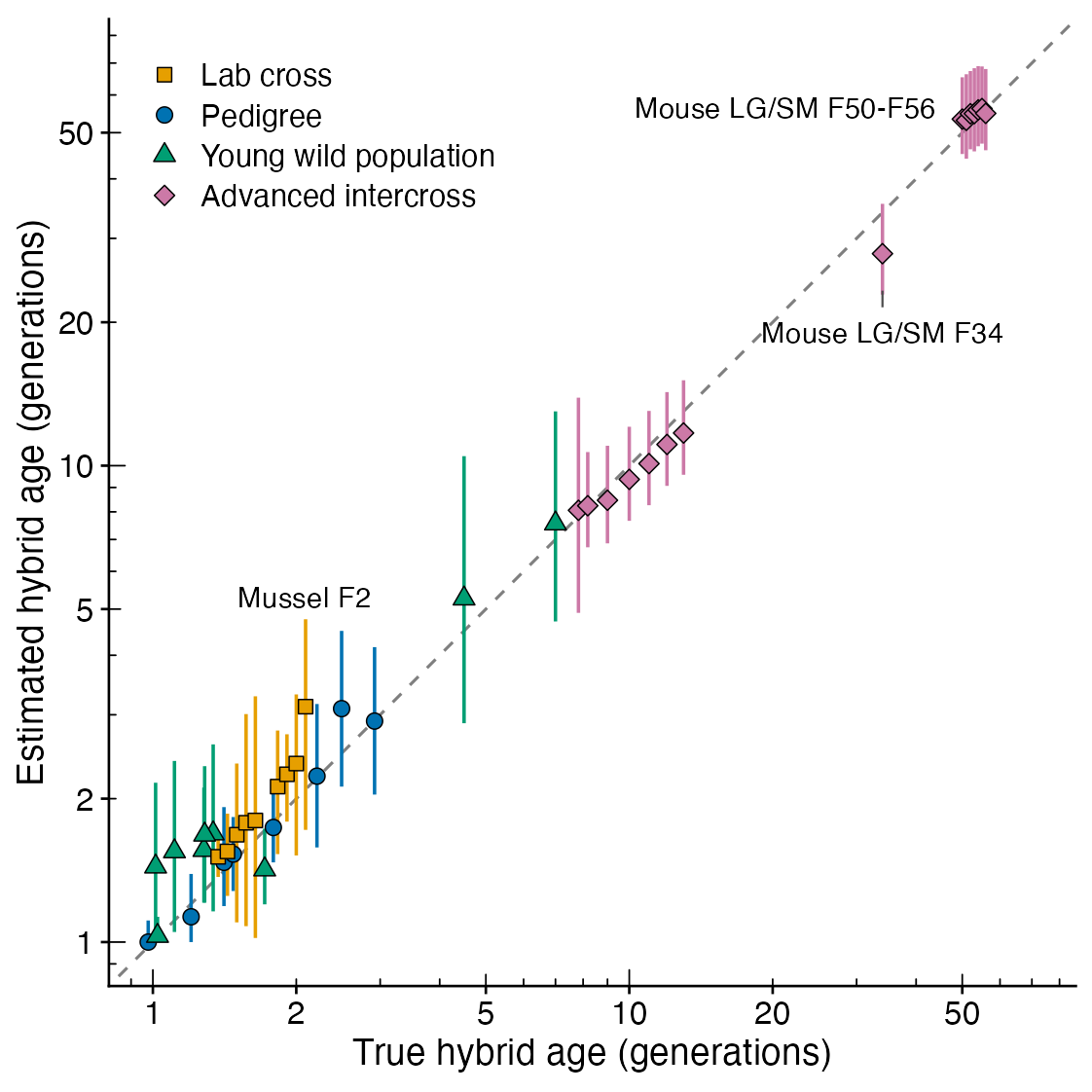Estimated and true hybrid age in 41 groups of known age, from F1 families to the 56th generation of an intercross line