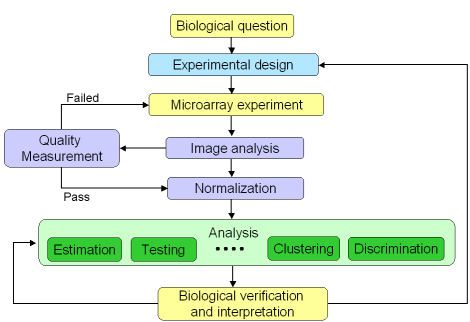 microarray experiment lifecycle